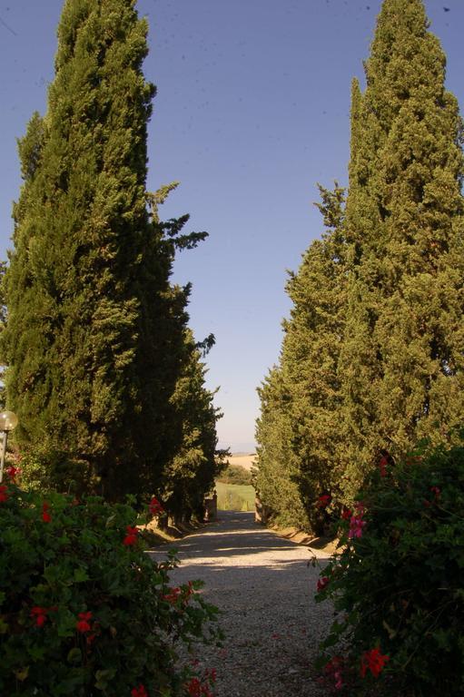 Agriturismo San Francesco Amalia&Anna Orciatico Exterior foto
